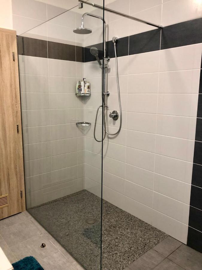 Apartman Lipno G11 Frymburk Exterior photo